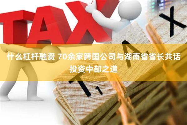 什么杠杆融资 70余家跨国公司与湖南省省长共话投资中部之道