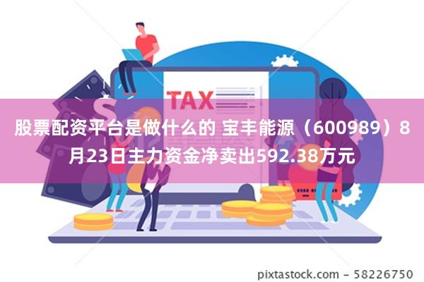 股票配资平台是做什么的 宝丰能源（600989）8月23日主力资金净卖出592.38万元