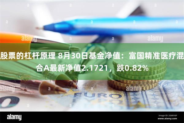 股票的杠杆原理 8月30日基金净值：富国精准医疗混合A最新净值2.1721，跌0.82%