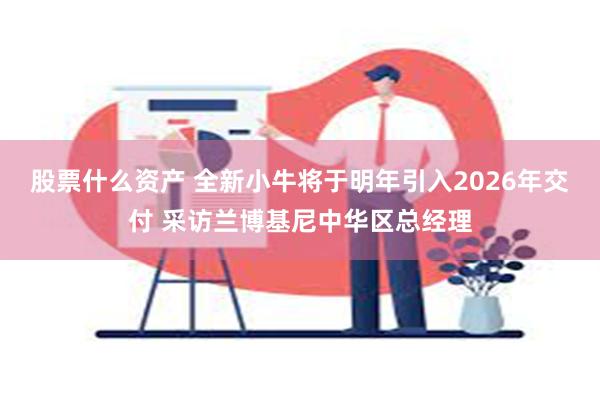 股票什么资产 全新小牛将于明年引入2026年交付 采访兰博基尼中华区总经理