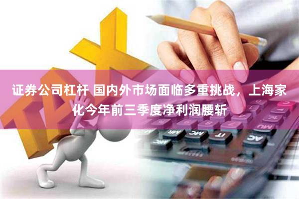 证券公司杠杆 国内外市场面临多重挑战，上海家化今年前三季度净利润腰斩