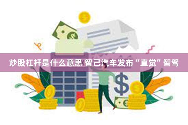 炒股杠杆是什么意思 智己汽车发布“直觉”智驾