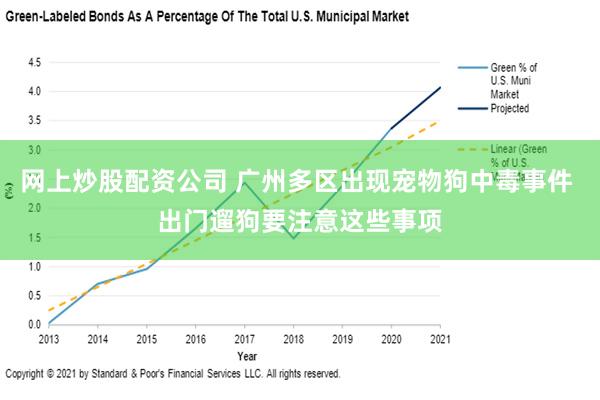 网上炒股配资公司 广州多区出现宠物狗中毒事件 出门遛狗要注意这些事项