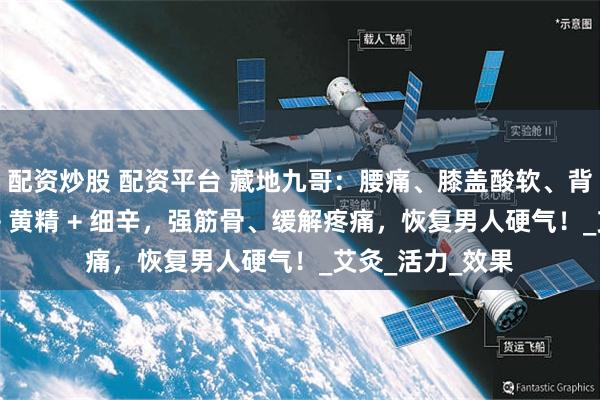 配资炒股 配资平台 藏地九哥：腰痛、膝盖酸软、背部僵硬？虫草 + 黄精 + 细辛，强筋骨、缓解疼痛，恢复男人硬气！_艾灸_活力_效果
