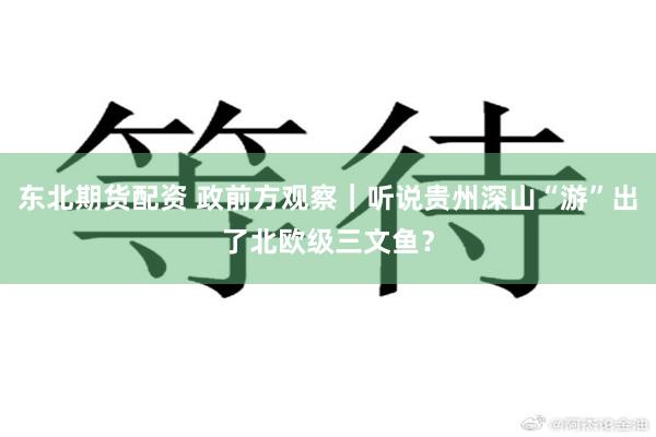 东北期货配资 政前方观察｜听说贵州深山“游”出了北欧级三文鱼？